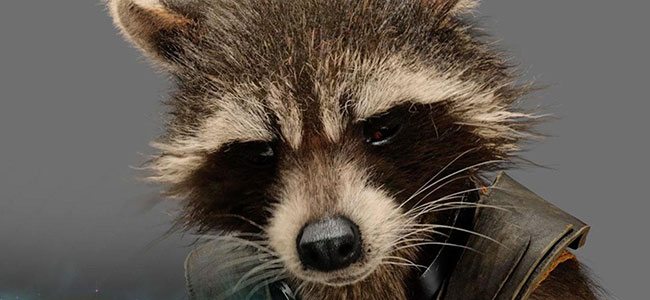 Guardians of the Galaxy - Rocket Racoon